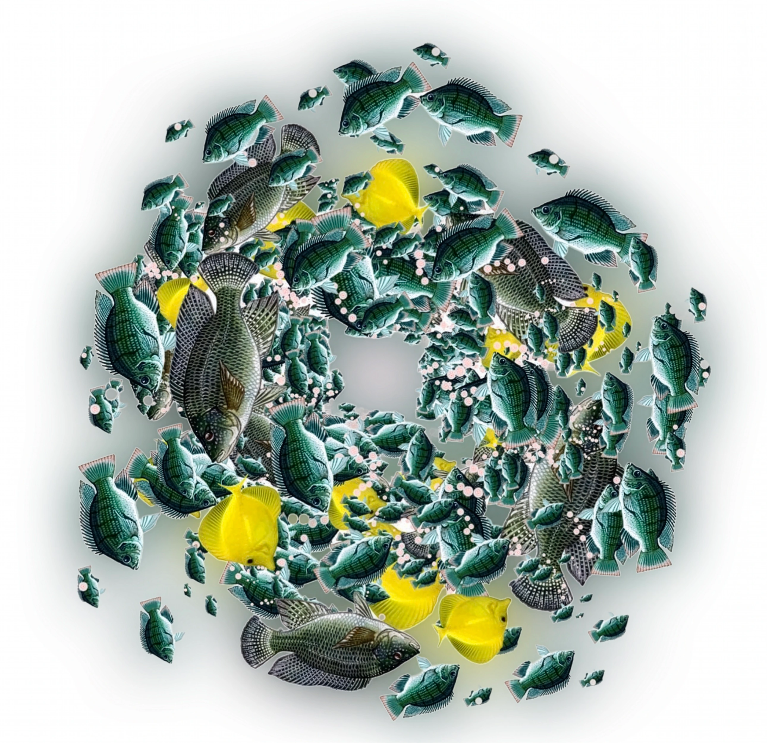 Fish Circle: a circular composition of green, yellow and patterned fish by Katarina Jovanov.